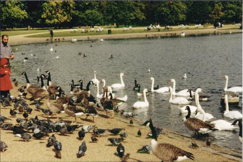 KensingtonGardens1.JPG (41279 bytes)